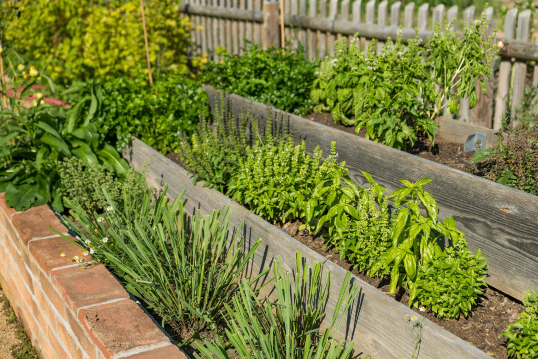 Subtropical garden in August — late winter preparation